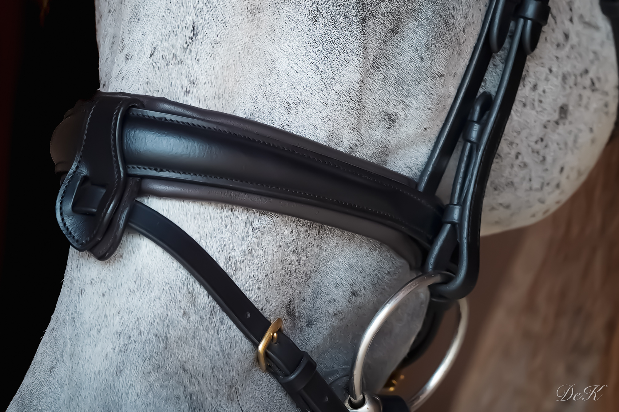 Domin braun Nasenriemen