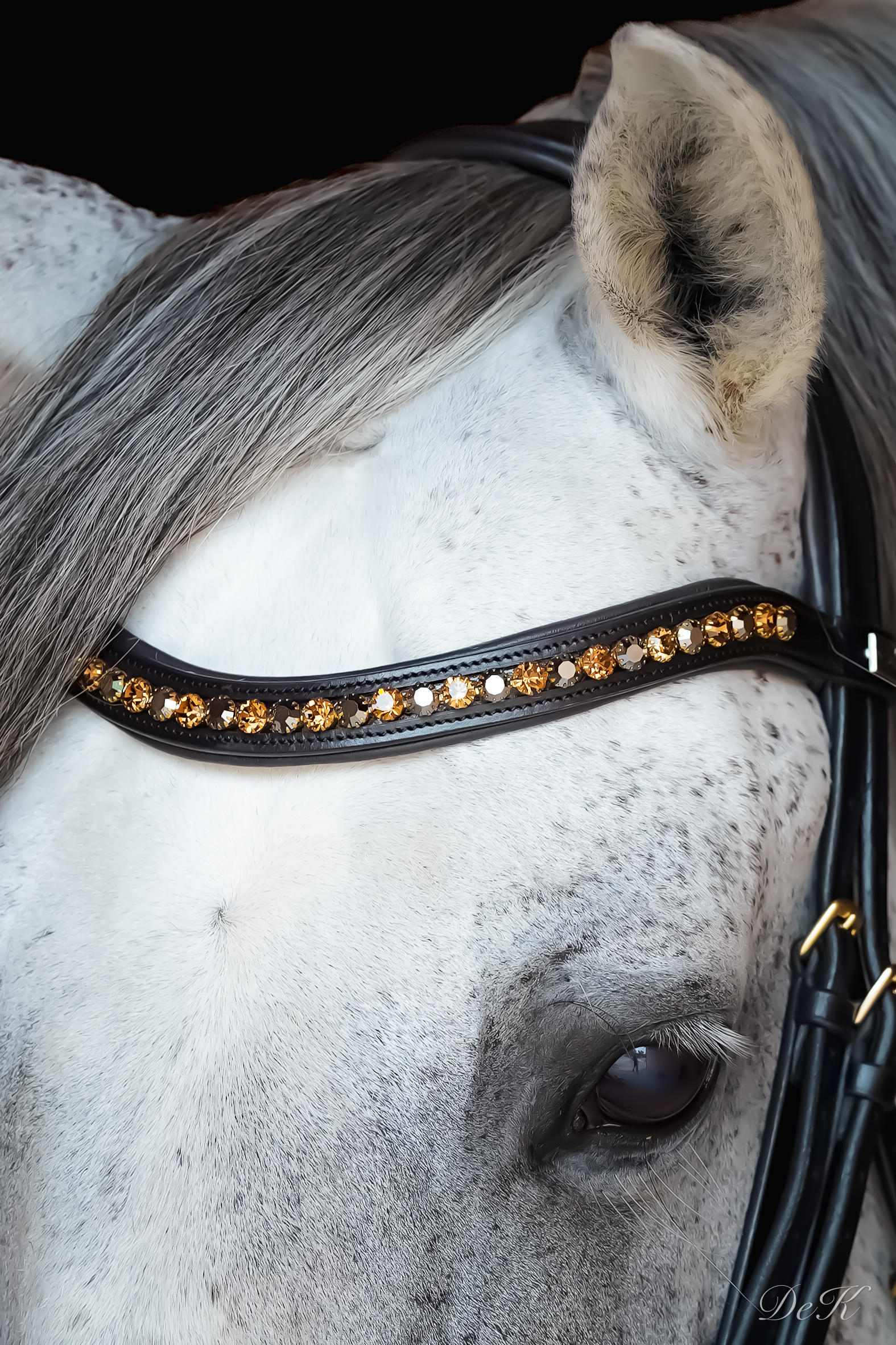 Domin braun Stirnband 2