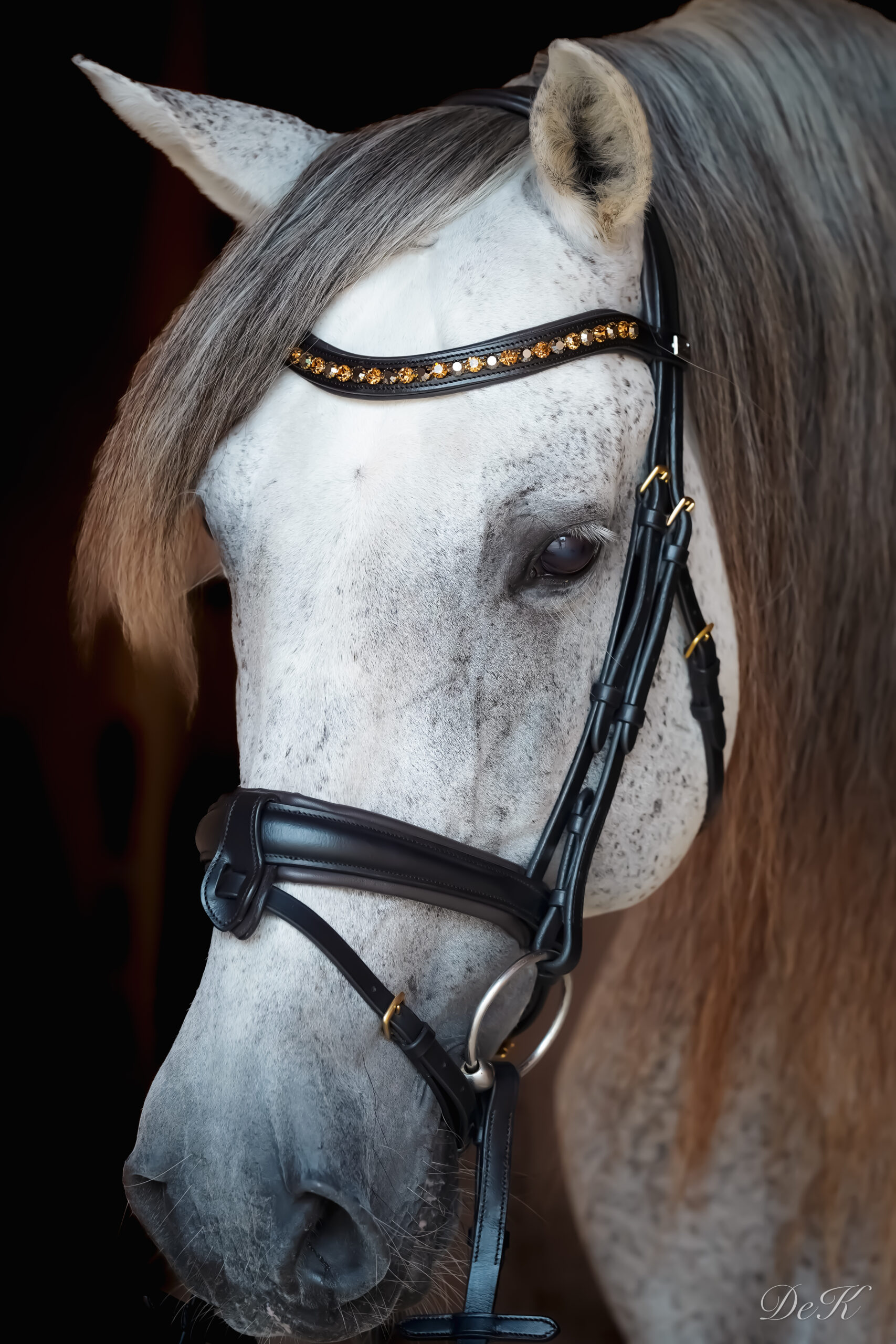 Cookie Dressurtrense Eponia Cookie Trense bernsteinfarbenes Stirnband Preciosa Smoked Topaz“ „Cookie Trense Eponia Stellux Jet-Hämatit Kristalle anatomisch“ „Anatomische Trense Eponia Cookie abnehmbarer Sperrriemen“