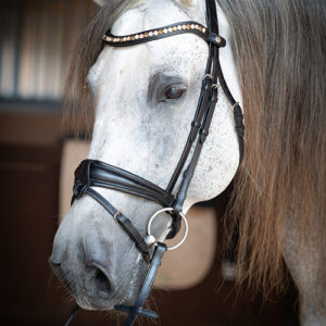 Eponia "Gatsby" anatomische Trense mit Quick Snap Stirnband (Preciosa Kristalle)