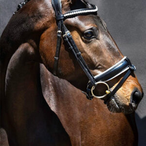 Eponia Classic Dressage White with bling Full