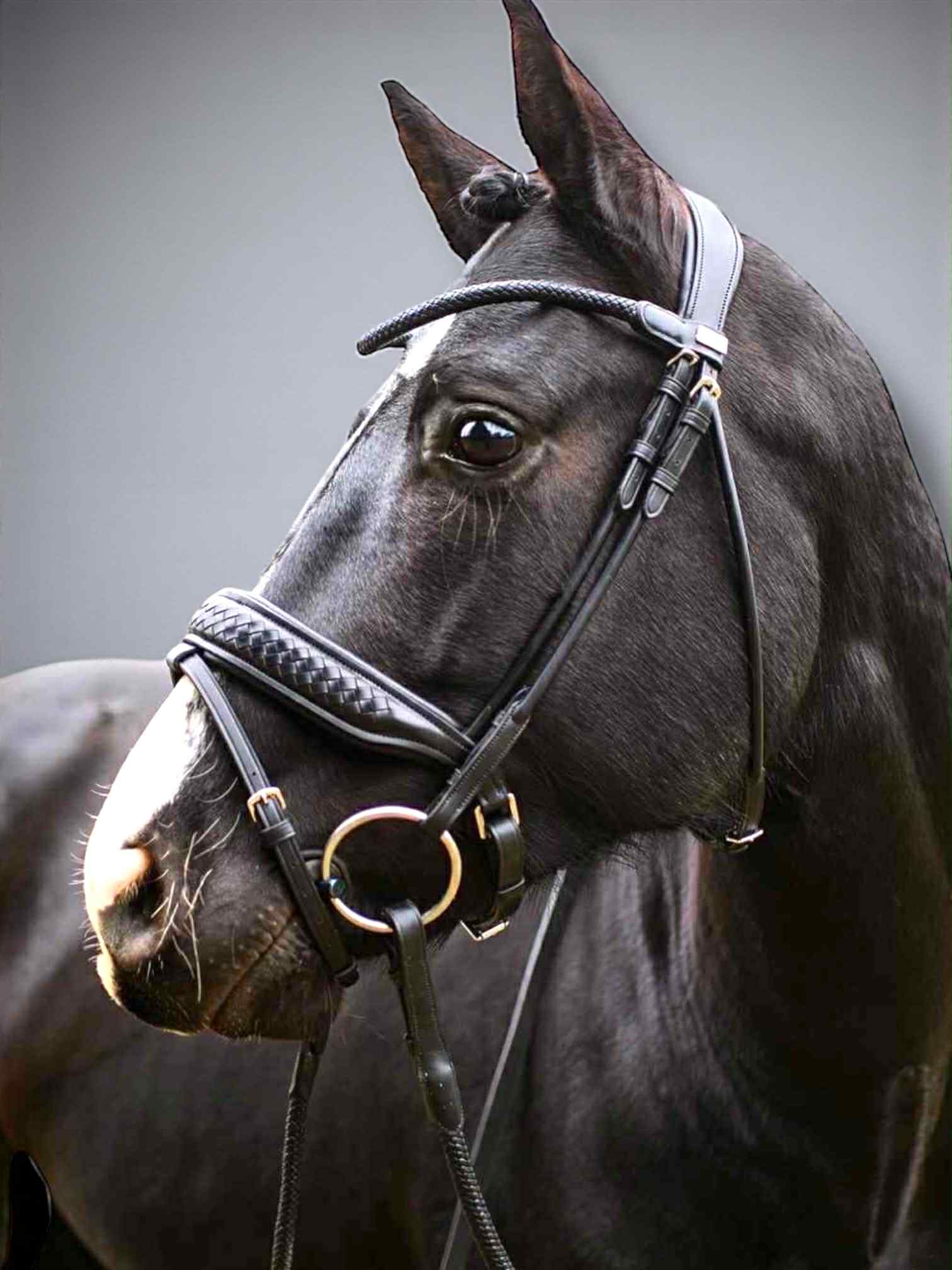 1437bdec-6efe-4059-bd56-e256793594b5