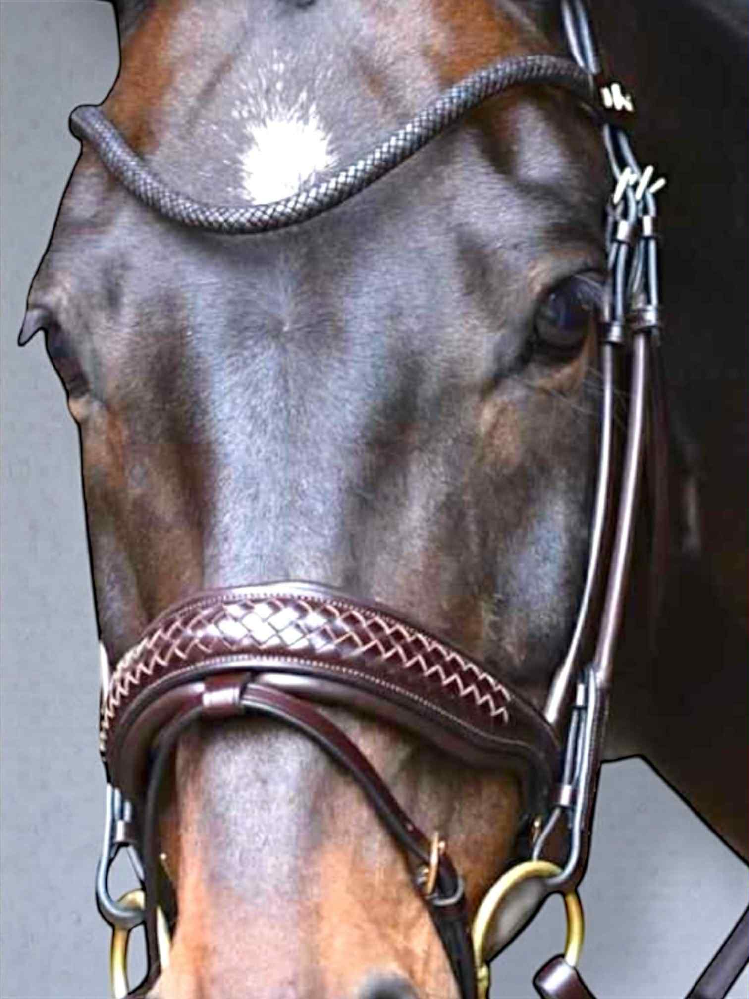 69a6678d-d6ea-404b-8e0f-a6f8da75d945