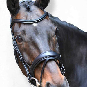 Eponia Classic Trense anatomisch black Full