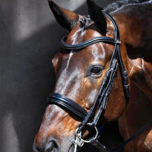 Eponia Kandare José García Mena Edition - inkl. Lederzügel - schwarz - Full