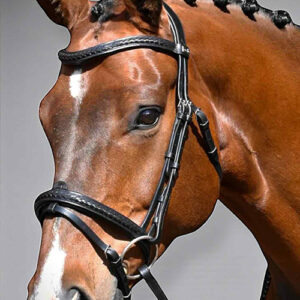 Hudson Hunter Trense Paket - Spring-, Hunter - & Allround-Zaumzeug + geflochtenes Upgrade Braun Full