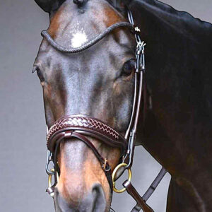 Rundgenähter Dressurzaum - mit geflochtenen Details Schwarz - Full