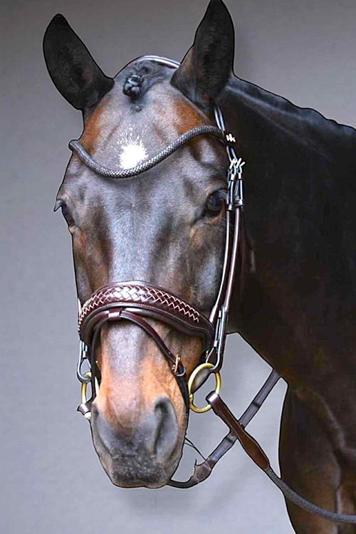 Rundgenähter Dressurzaum - mit geflochtenen Details Schwarz - Full