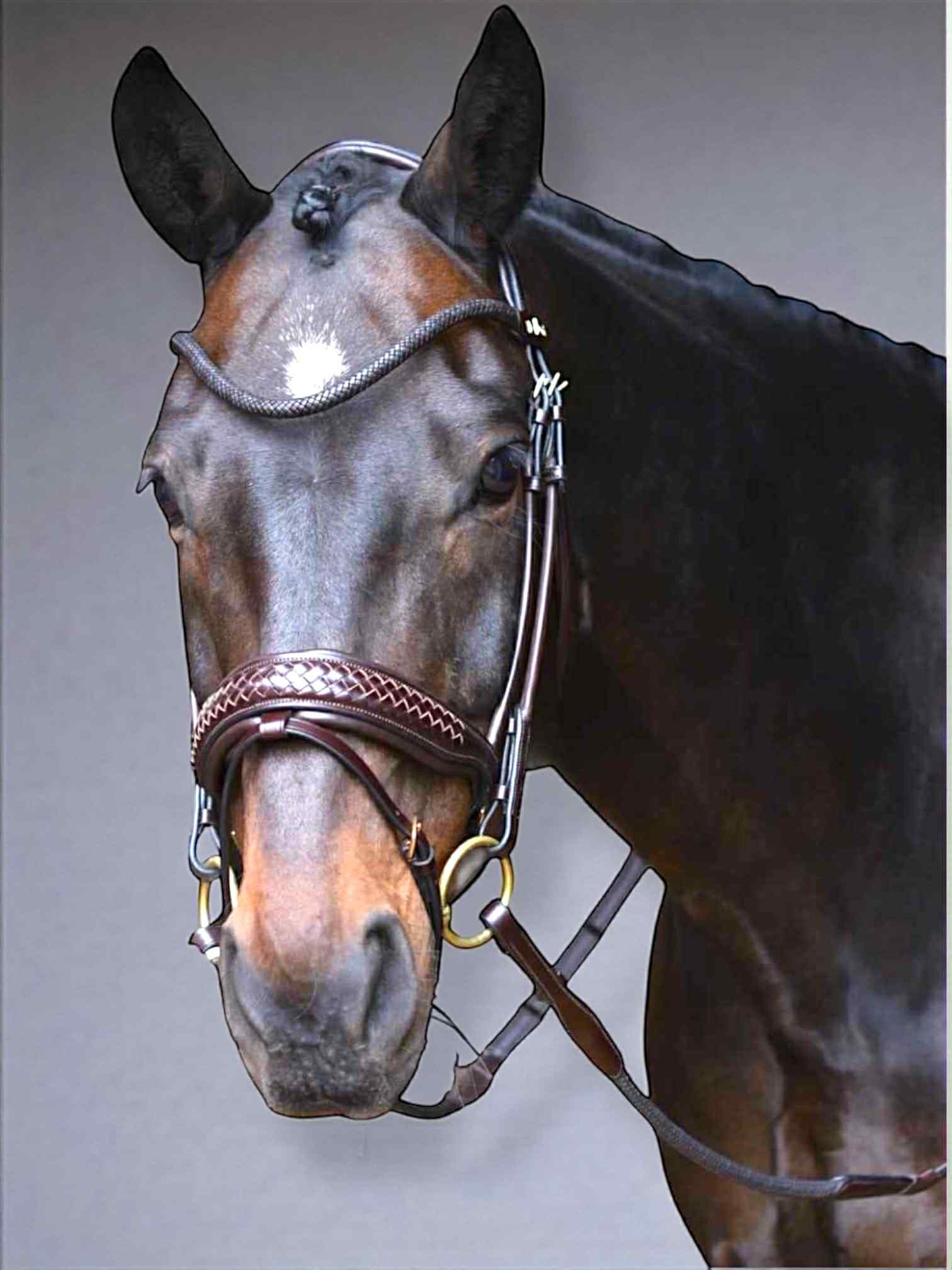 Rundgenähter Dressurzaum geflochten „Rundgenähte Dressurtrense geflochten Stirnband Reithalfter italienisches Leder“ „Dressurzaum geflochtenes Reithalfter Eponia Monocrown FEI 4,5 cm“ „Rundgenähter Dressurzaum mit Flechtung Zügel Gummigrip innen“